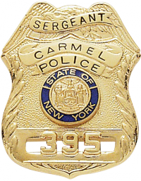 Eagle Topped Shield Family Badge FB25