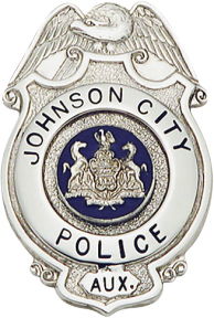 Eagle Topped Shield Family Badge FB38