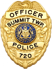 Eagle Topped Shield Family Badge FB46