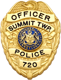 Eagle Topped Shield Family Badge FB46