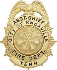 Sunburst eagle topped badge M11A