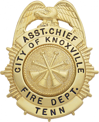 Sunburst eagle topped badge M11A