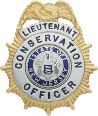 Sunburst eagle topped badge M11B