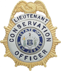 Sunburst eagle topped badge M11B