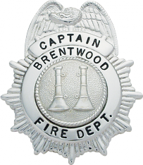 Sunburst eagle topped badge M11