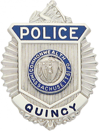 Sunburst type badge M200