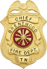 Eagle Topped Shield Badge M-204