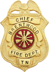 Eagle Topped Shield Badge M-204