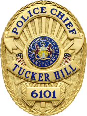 Oval badge with USA flag M261US