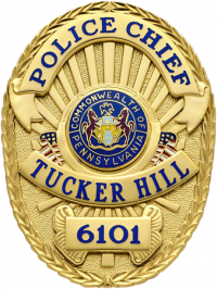 Oval badge with USA flag M261US