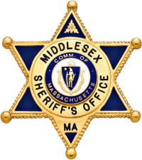 Six Point Star Ball Tipped Badge M-392E