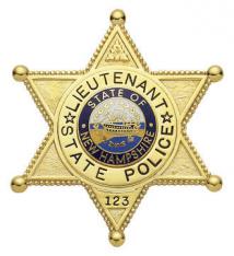 Six Point Ball Tipped Star Badge M-392