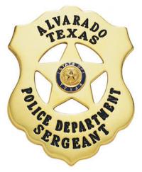 Five Point Star Badge M-719