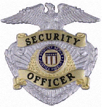 Quick Ship Eagle Topped Badge QS-B7210TT