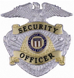 Quick Ship Eagle Topped Badge QS-B7210TT