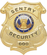 Shield badge with no eagle S138