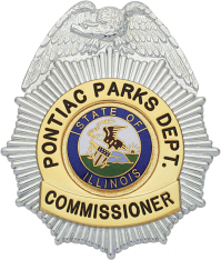 Sunburst eagle Topped Badge S151