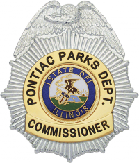 Sunburst eagle Topped Badge S151