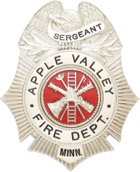 Sunburst eagle topped badge S153A