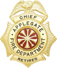 Sunburst eagle topped badge S158B