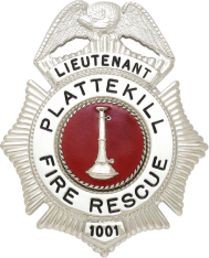 Sunburst eagle topped badge S158C