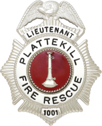 Sunburst eagle topped badge S158C