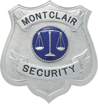 Shield badge with no eagle S172