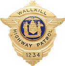 Eagle over shield badge S179