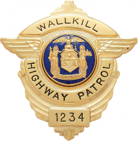 Eagle over shield badge S179