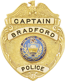 Eagle over shield badge S186