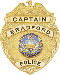 Eagle over shield badge S186