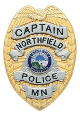 Eagle Topped Badge S18