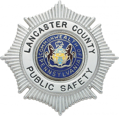 Sunburst without eagle badge S191