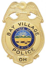 Eagle Topped Badge S198