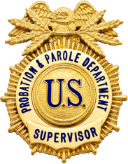 Sunburst eagle topped badge S200B