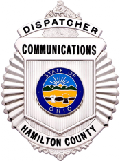 Sunburst type badge S220A