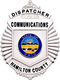 Sunburst type badge S220A