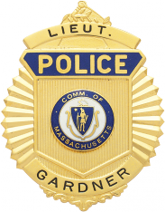 Sunburst type badge S220