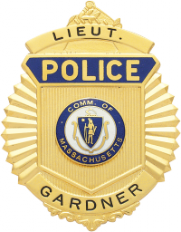 Sunburst type badge S220