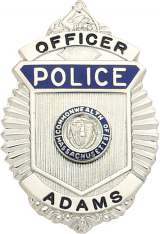 Sunburst type badge S221