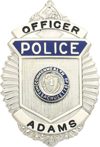 Sunburst type badge S221