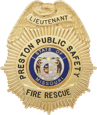 Sunburst Eagle Topped Badge S223