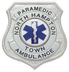 Shield Type Badge S229