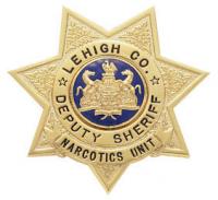 Seven Point Star Badge S242