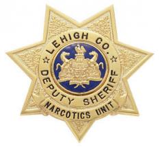 Seven Point Star Badge S242