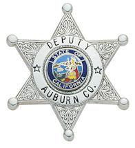 Six Point Ball Tipped Star Badge - S245