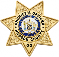 Seven Point Star Badge S249-B