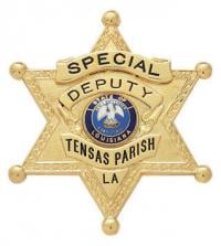 Six Point Star Ball Tipped Badge S254-A