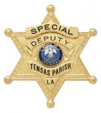 Six Point Star Ball Tipped Badge S254-A