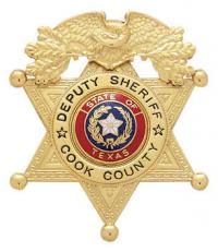 Eagle Topped Six Point Star Ball Tipped Badge S255